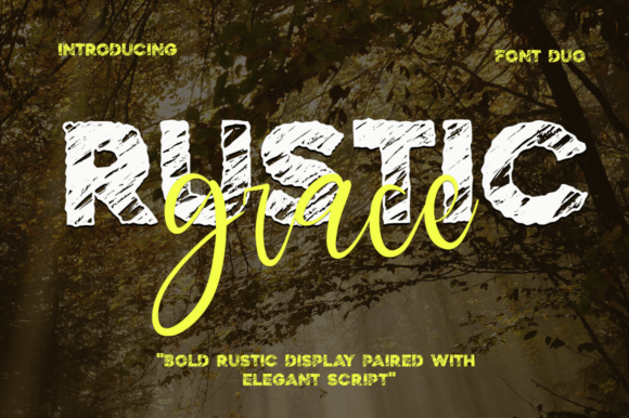 Rustic Grace: A Unique Blend of Boldness and Elegance in Font Design